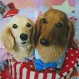 稲垣 真弓